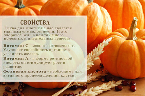 Состав и полезные свойства тыквы - Calorizator