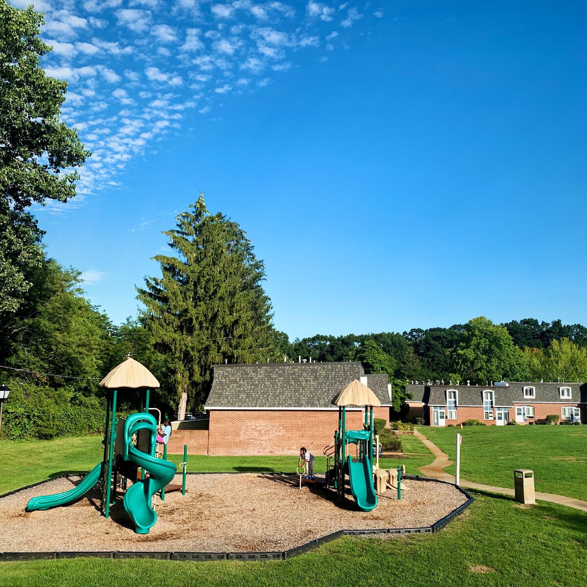 Площадка перед домом, Норвуд, август 2020