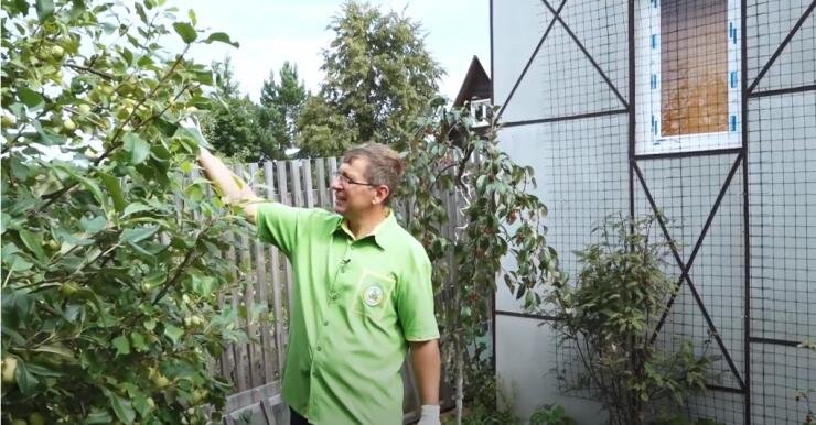 Агроном Владислав Кундасев рассказывает, как спасти урожай от вредителей
