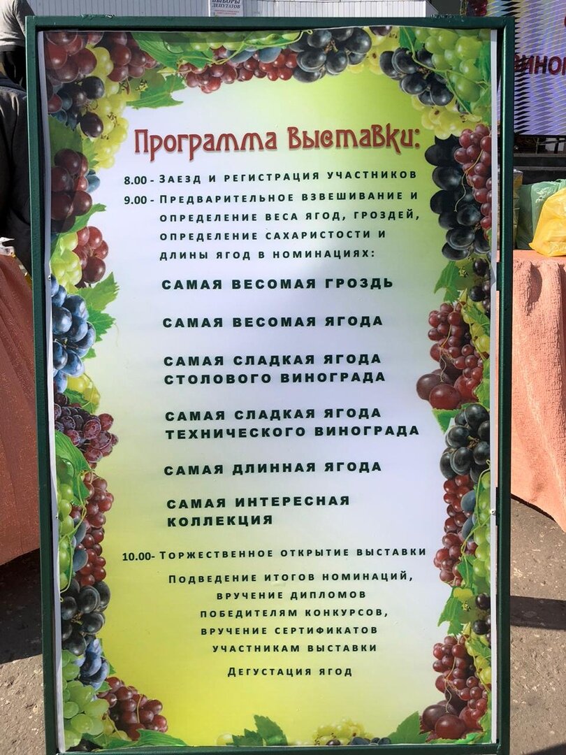 Программа фестиваля "Виноград объединяет"