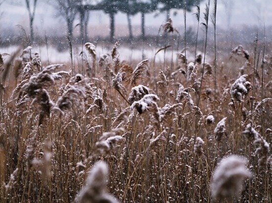 фото: pixabay.com