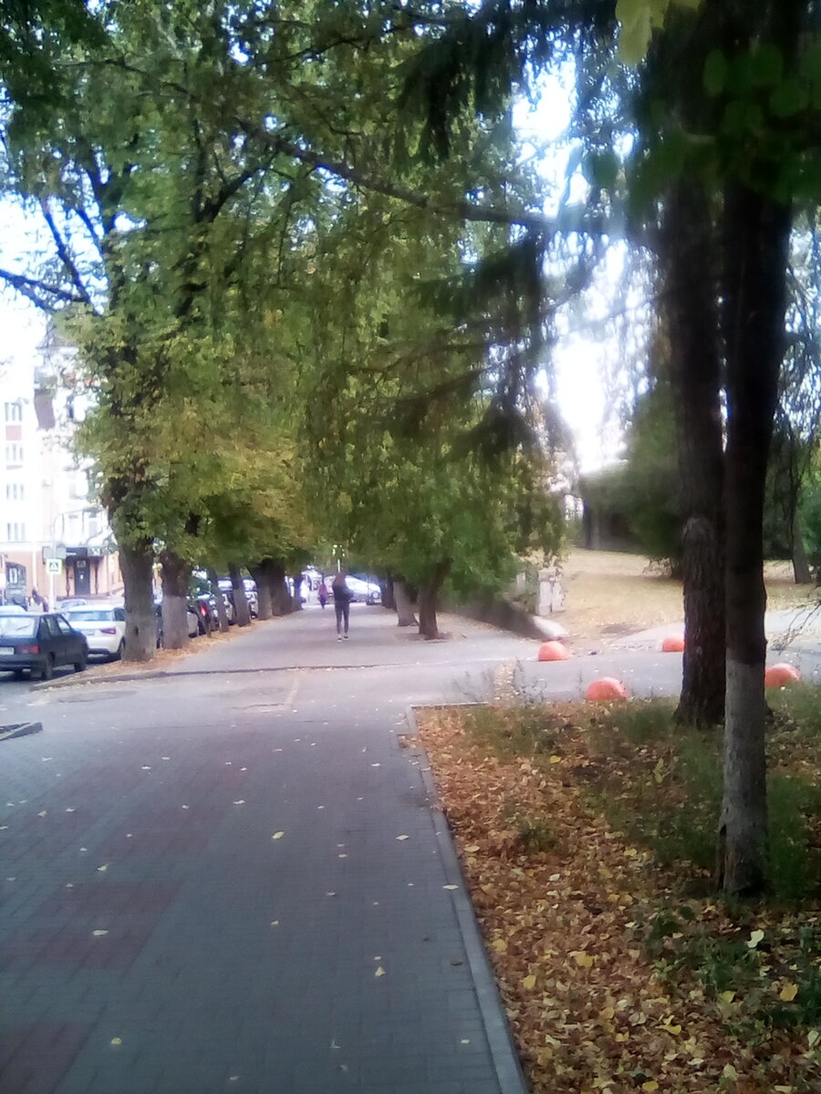 Иногда нужно просто прогуляться пешком, никуда не торопясь