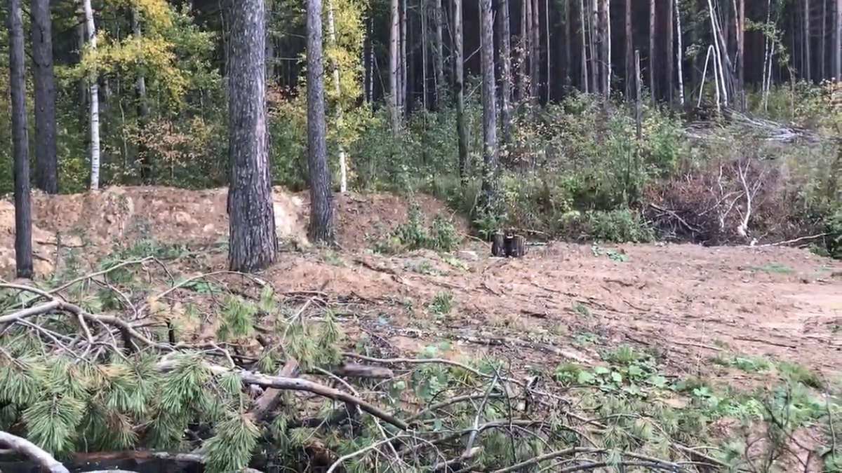 Граница участка