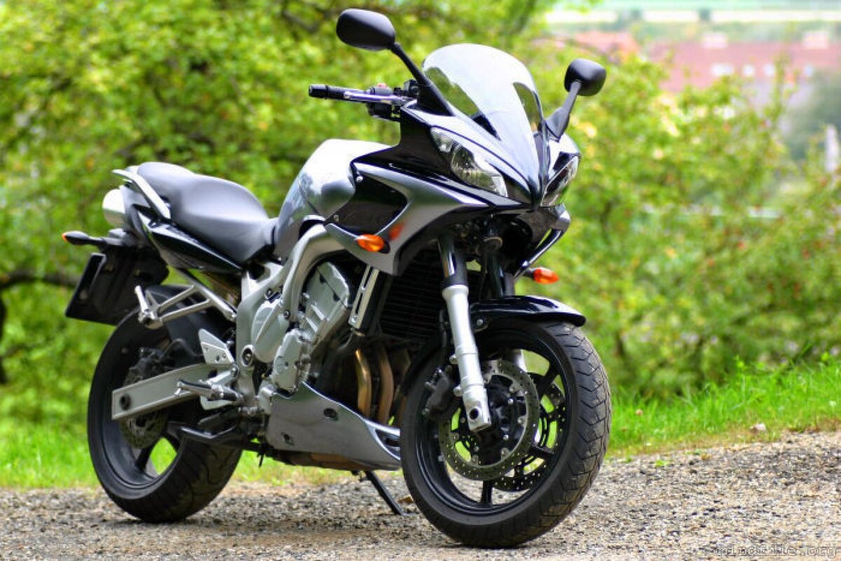 Yamaha fz-6s "Фазер" выпускавшийся с 2004 до 2009 года.