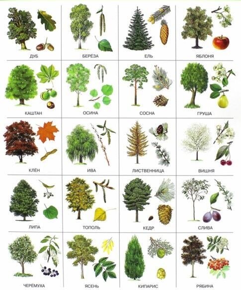 Источник pinterest.ru