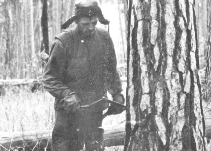 Обе руки заняты, если что то можешь упасть вместе с пилой. А тут дерево начинает падать, и по закону подлости обязательно старается упасть на тебя....