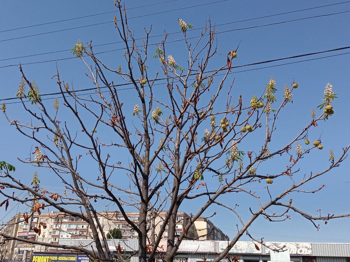 Автор фото Юлия Мягкая