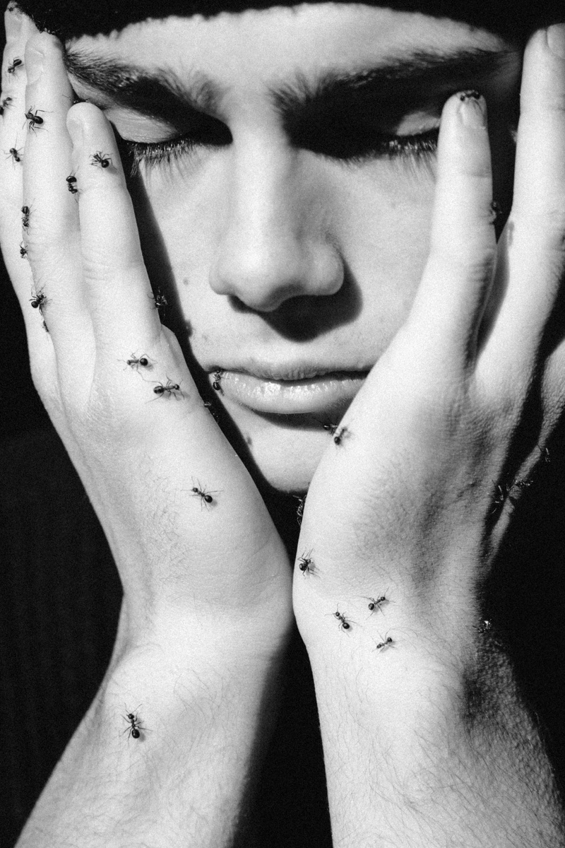 фото из открытых источников unsplash.com