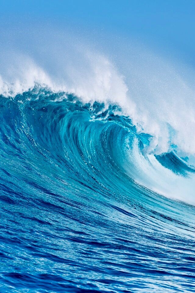 Взято с Яндекс.Картинки