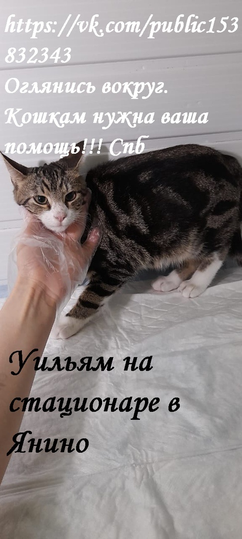 Уильям в стационаре в Янино. Уже встает