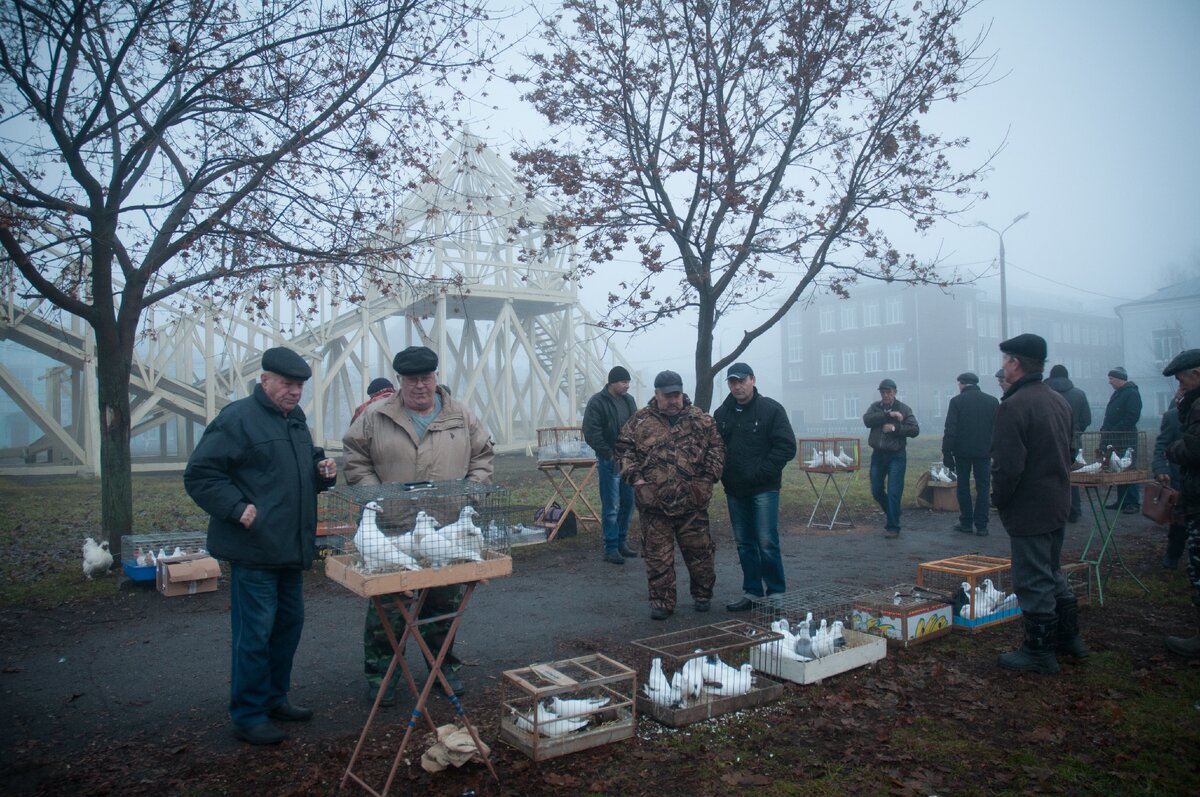 Коломна. Житная площадь 2015г.