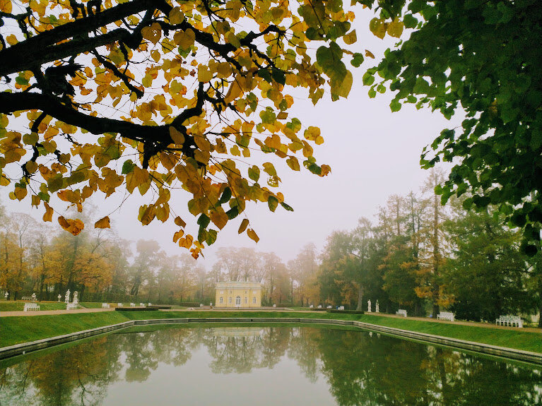 Царскосельский парк, 11.10.2020