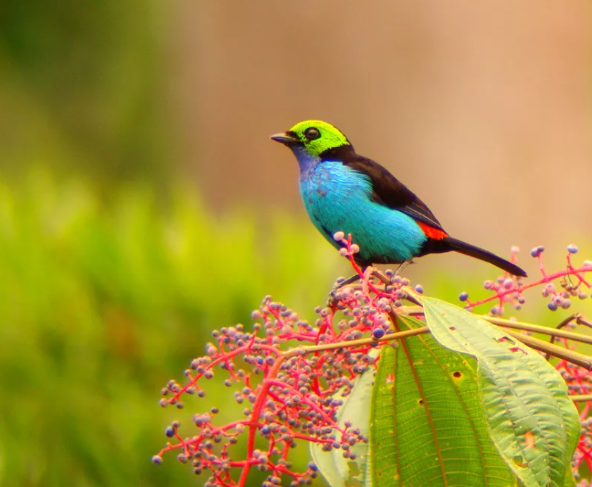 Фото из открытых источников 