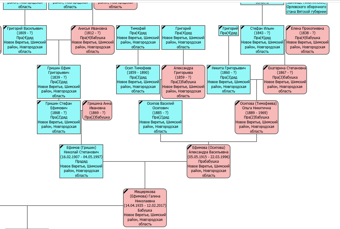 Моя новгородская родословная. Метрические книги не сохранились, но нашлась исповедная роспись за 1907 год, мой прадед уже родился, ему был 1 месяц. Затем я искала предков по ИР ранее 1853 года. Биографию прадеда и бабушки я восстанавливаю до сих пор.