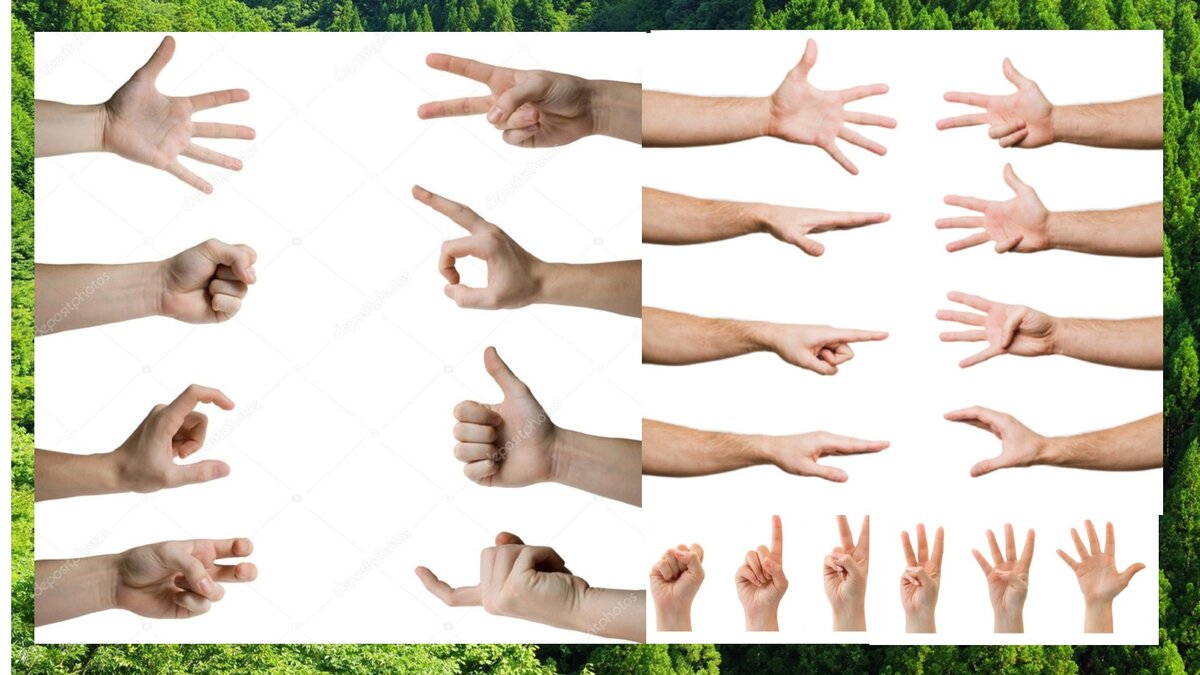 Пальчиковые упражнения делать одновременно двумя руками