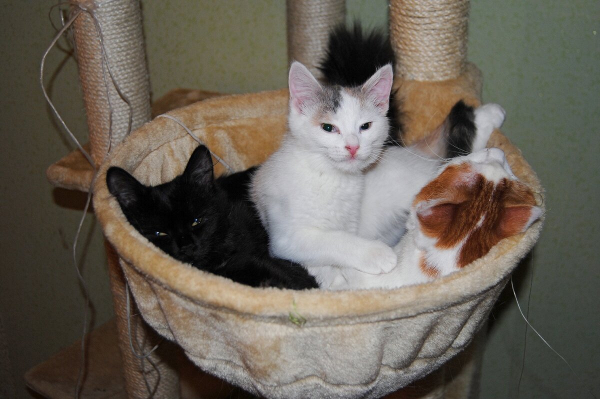 в тесноте, да не в обиде