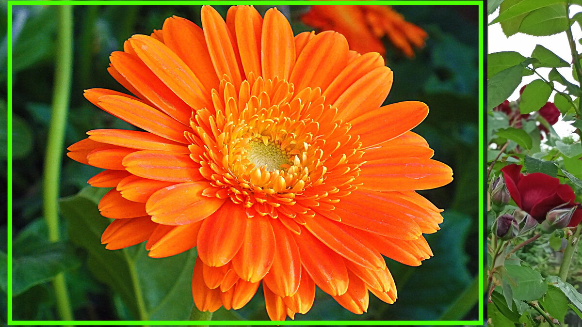 СТАВЬТЕ "КЛАСС" И ПОДПИСЫВАЙТЕСЬ НА КАНАЛ!!! https://pbs.twimg.com/media/D_1KNbRXoAAsKMQ.jpg:large