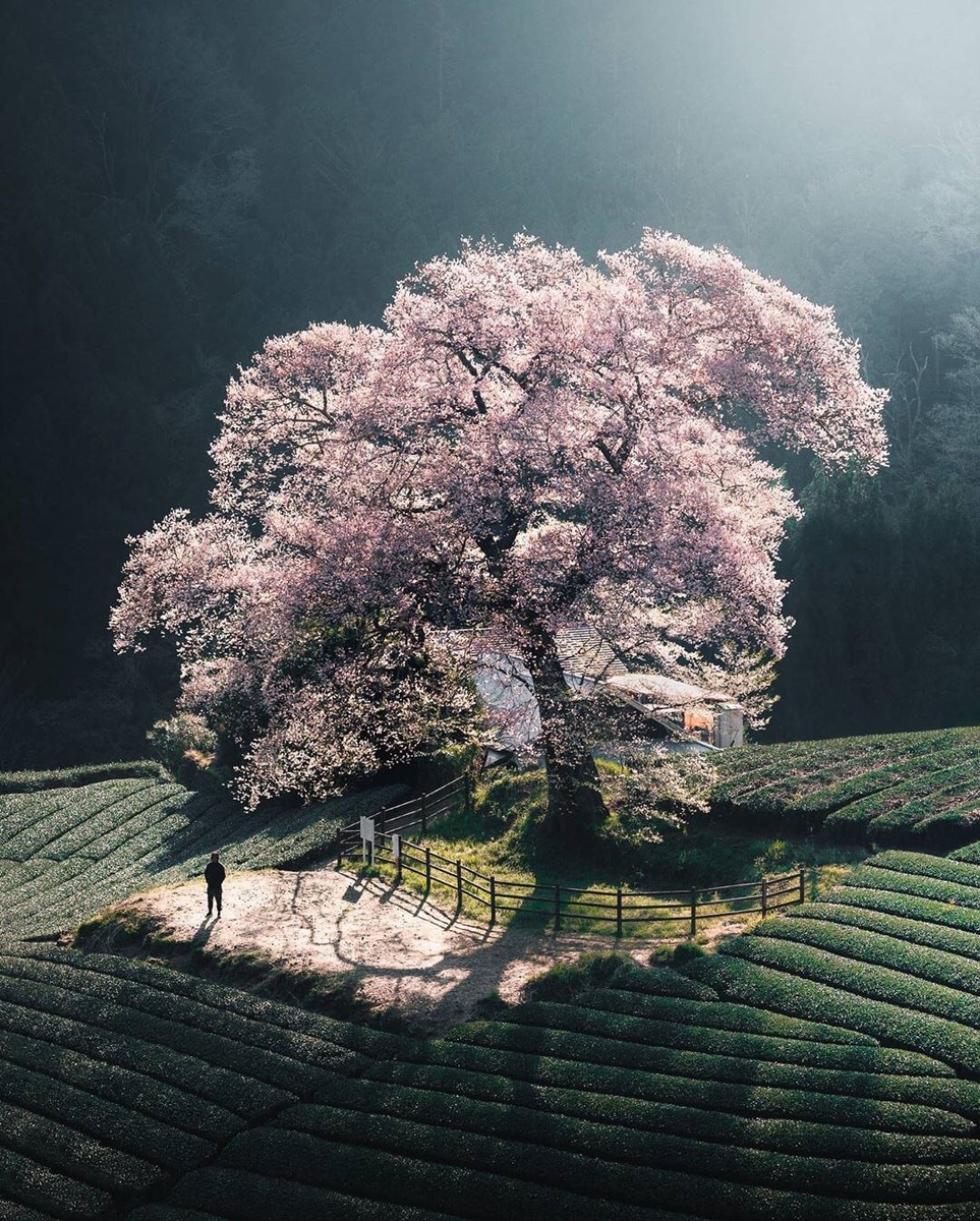 Изображение взято с сайта Яндекс картинки.