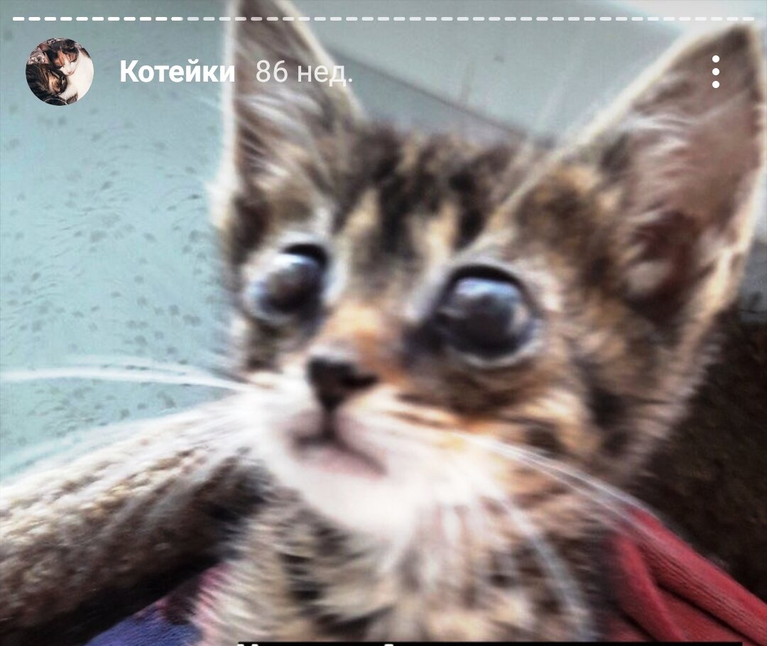 Все фотографии и видео из личного архива Елены Водиной