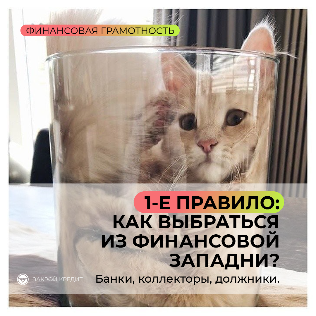 https://twitter.com/_public_life_/status/1095622387914166272/photo/1