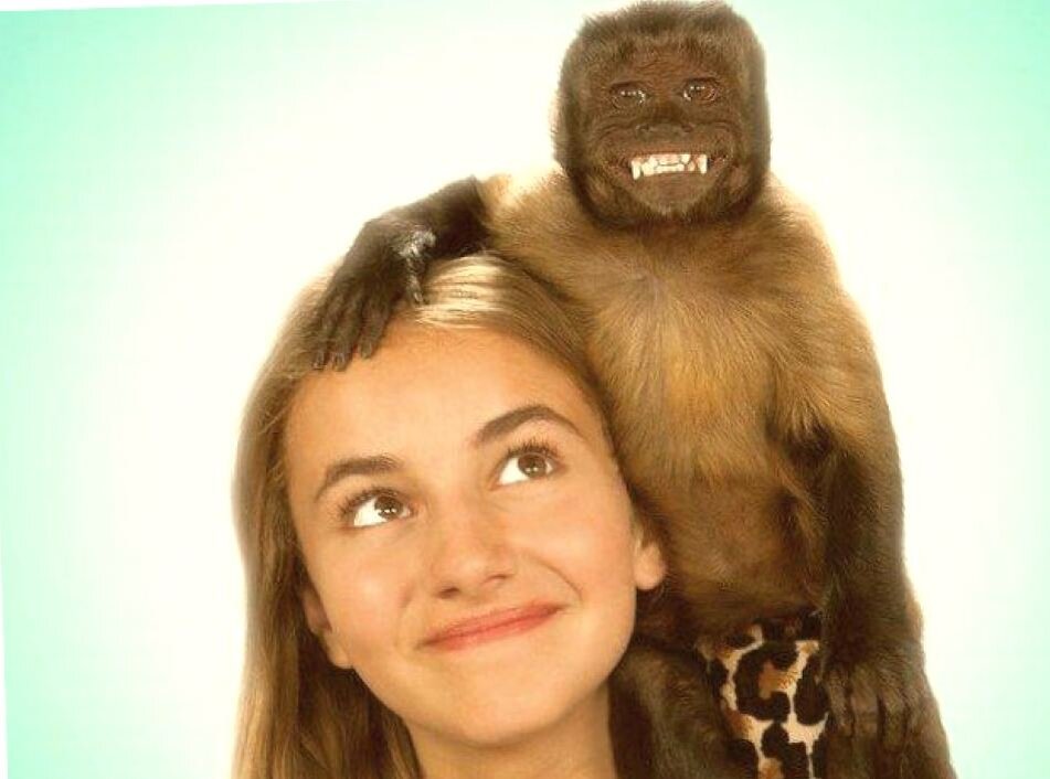 Фрагмент постера фильма Гибби 2016 года