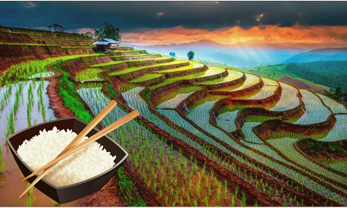 Подписывайтесь на канал и ставьте лайки. 