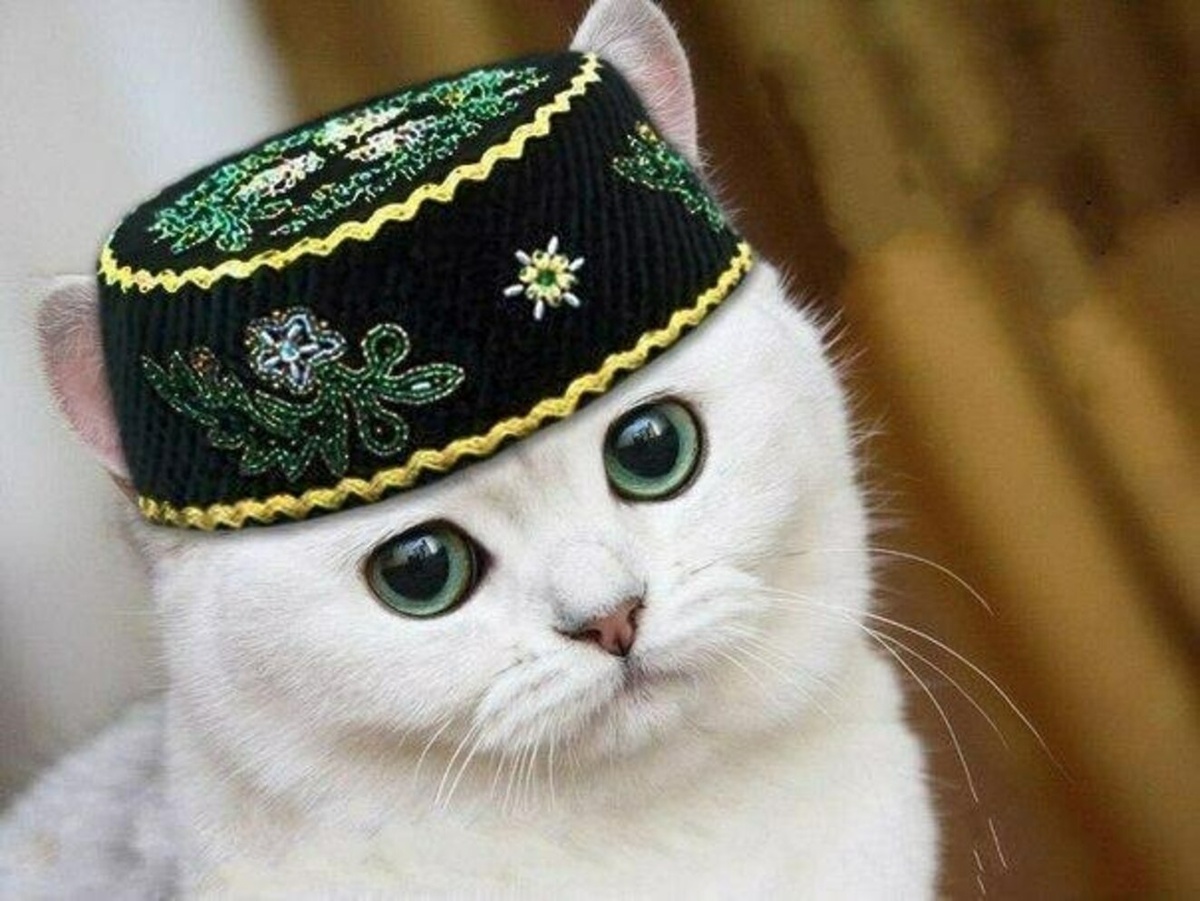 Источник: lhlib.ru