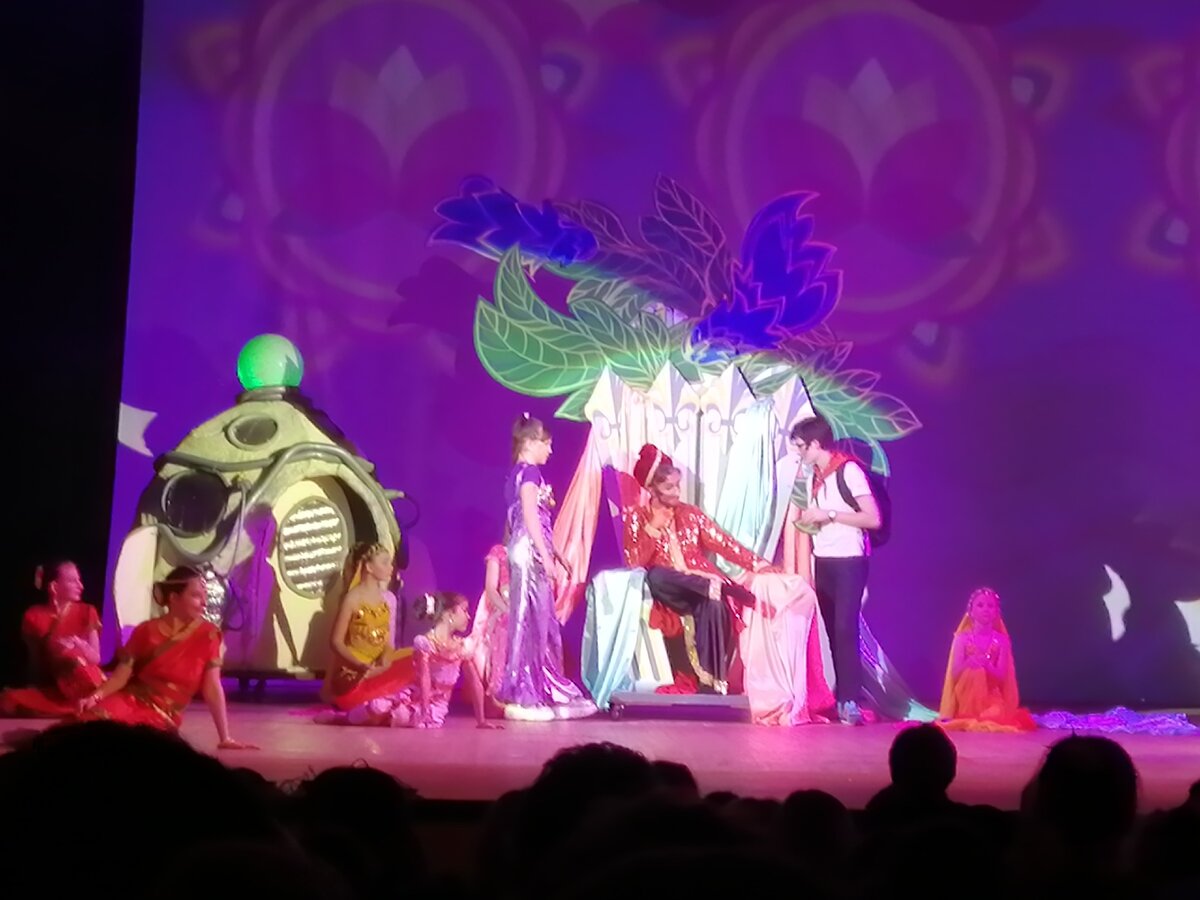 Снимок с концерта