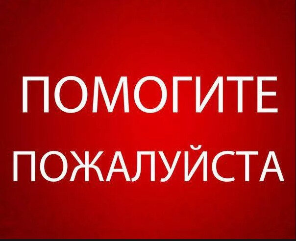 Фото взято из открытых источников. 