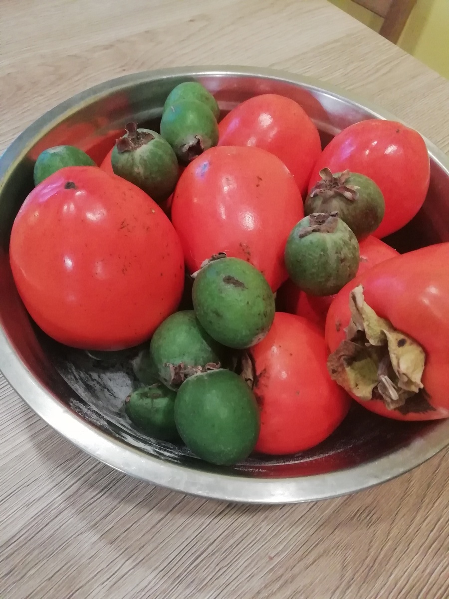 Я считаю, что сезонность должна быть первым фактором в выборе фруктов. 