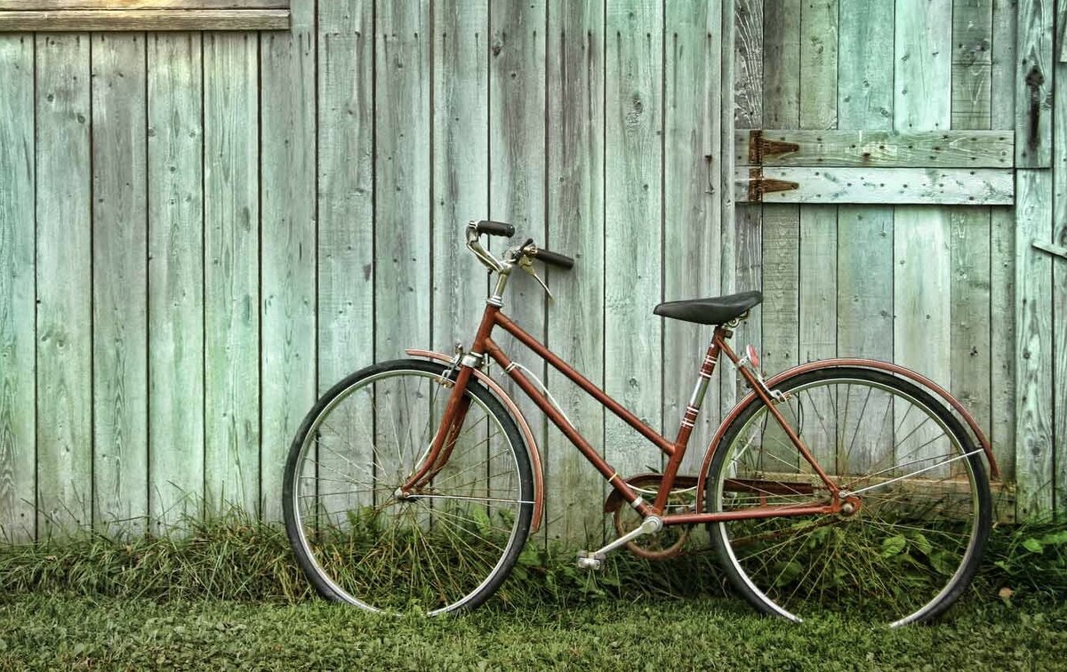 Фото из интернета 