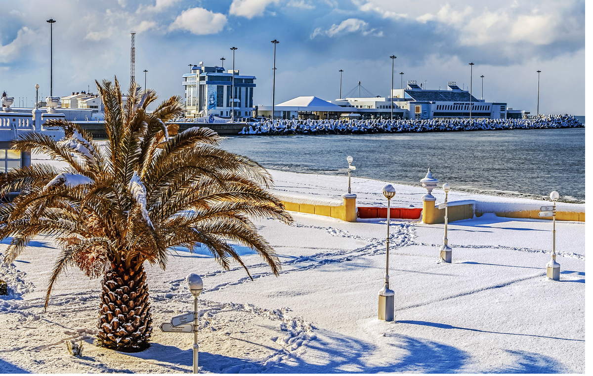 Сочи после снегопада