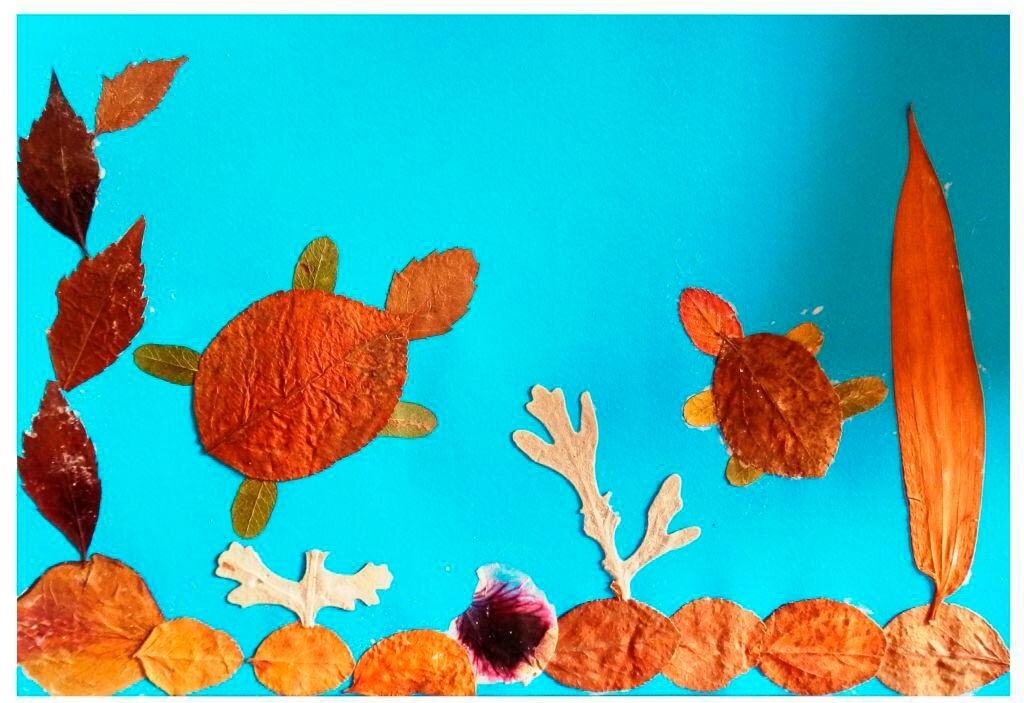 Черепаха из листьев аппликация. Черепаха из листьев аппликация. Черепашка из листьев аппликация. Черепаха из листьев аппликация. Черепашка из листьев аппликация.