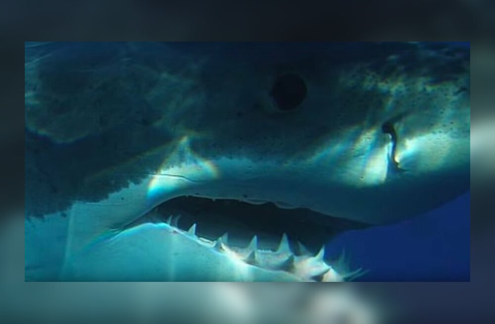 Kuvatõmmis videost, Reisijuht