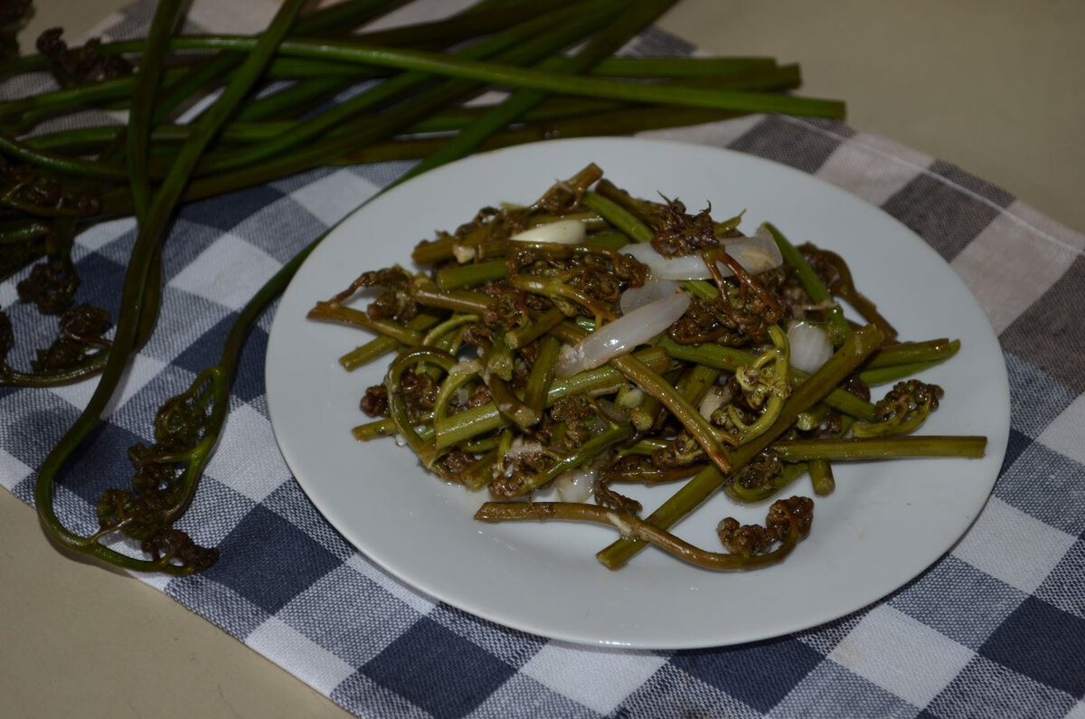 Блюда из папоротника соленого рецепты с фото простые и вкусные