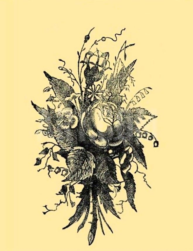 Источник: https://clck.ru/SA8xs