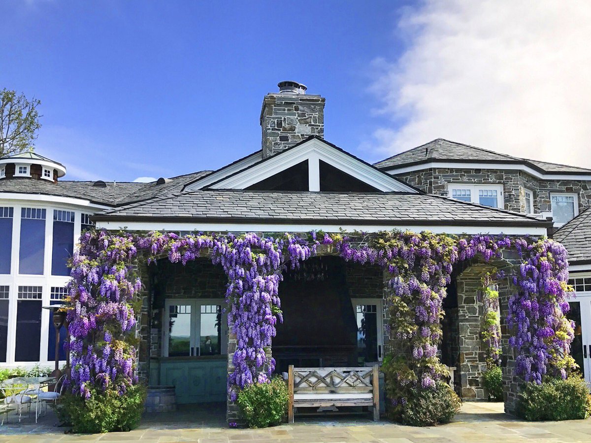 Вистерия Лейн (англ. Wisteria Lane) — вымышленная улица, на которой живут герои американского сериала «Отчаянные домохозяйки». Находится в пригороде города Фэйрвью, штат Игл (который на самом деле не существует). Википедия. Фото открытых источников