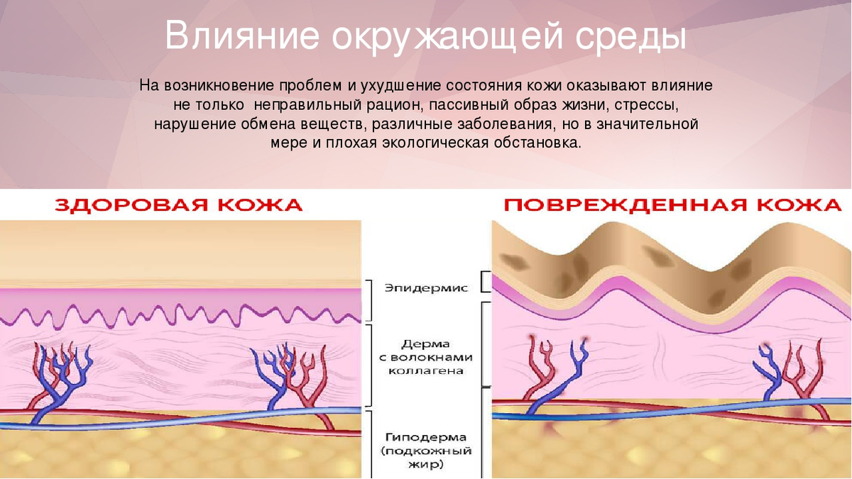 Факторы влияющие на старение человека. Факторы влияющие на кожу. Факторы внешнего воздействия на кожу. Воздействие окружающей среды на кожу. Факторы воздействующие на кожу.