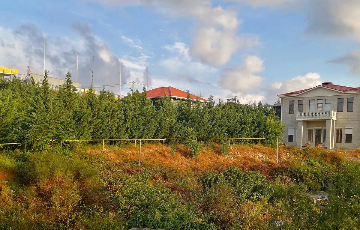 Зарегистрируй право на участок по выписке из похозяйственной книги ...