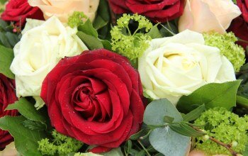 Фото из интернета