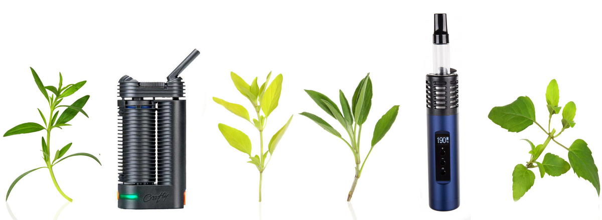 Вапорайзер