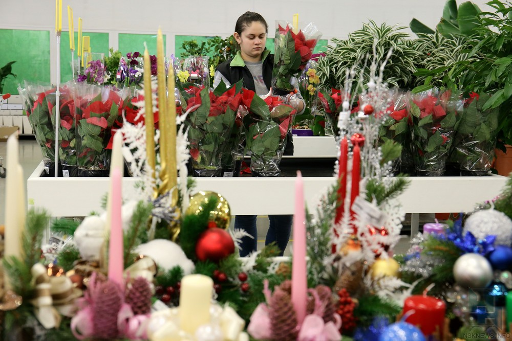 Фото: Михаил Периков, nsknews.info