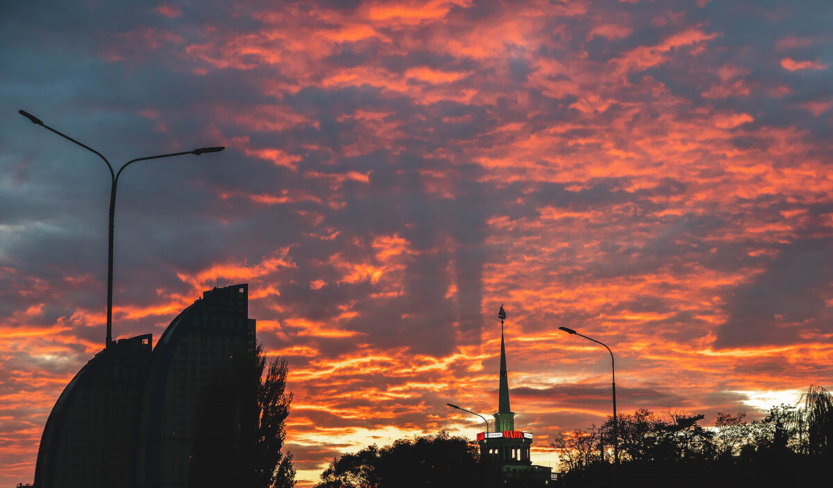 Случайно пойманный кадр во время прогулки.