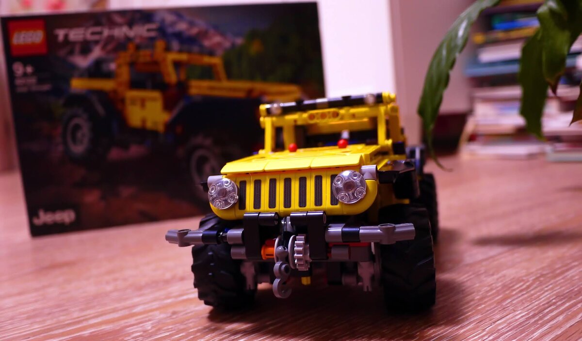 Купили отличный, большой и очень красивый конструктор. 

