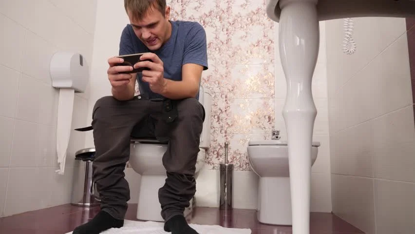 Открытый источник Яндекс картинки .
