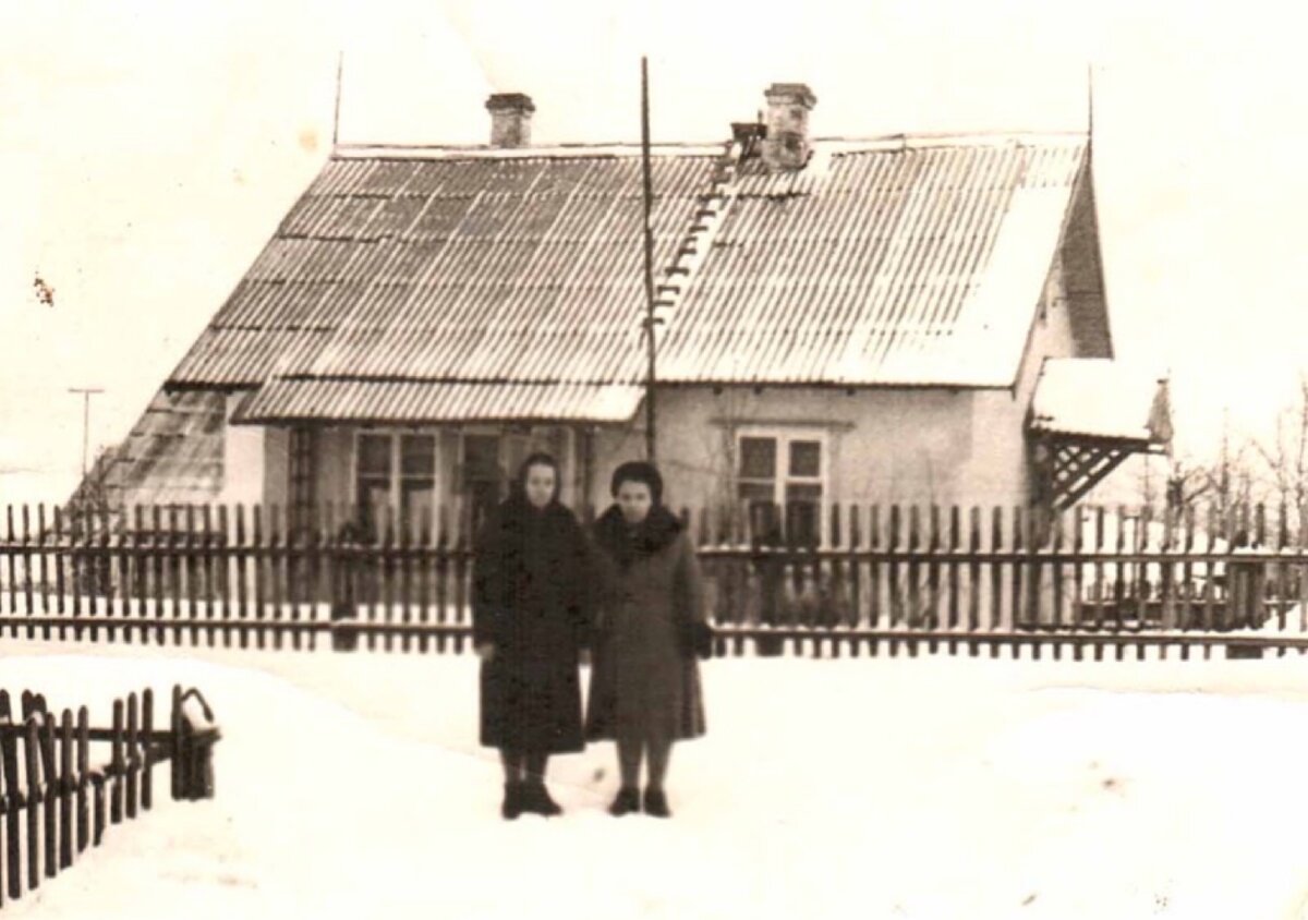 Финские дома, каркасно-щелевые. Откуда они появились в СССР, и почему это - дома  Победы? | Миклухо Макфлай исторический клуб | Дзен