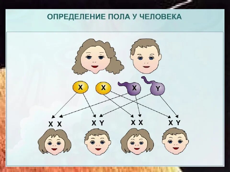 Как определить детей