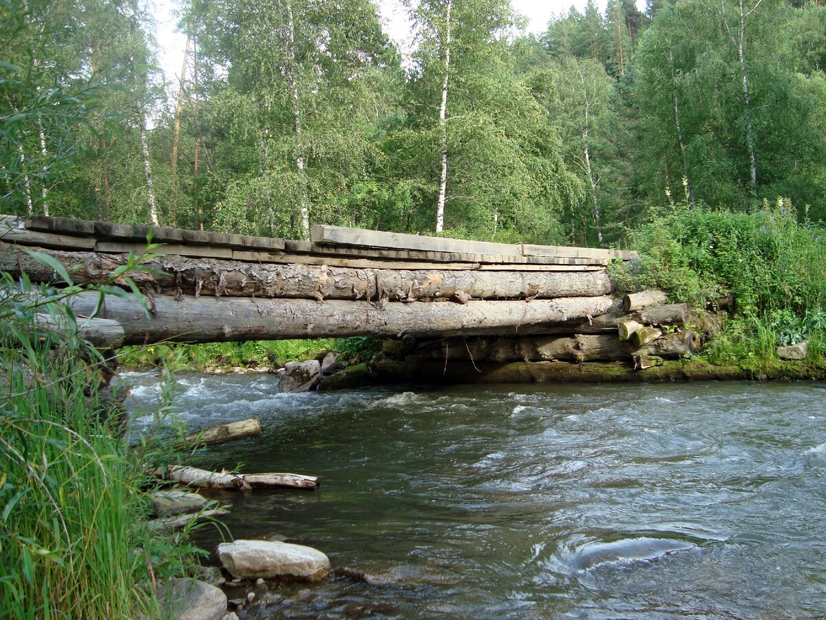 К чему нужно быть готовыми, если собрались летом на Алтай (много красивых  фотографий) | Деревенская путешественница | Дзен