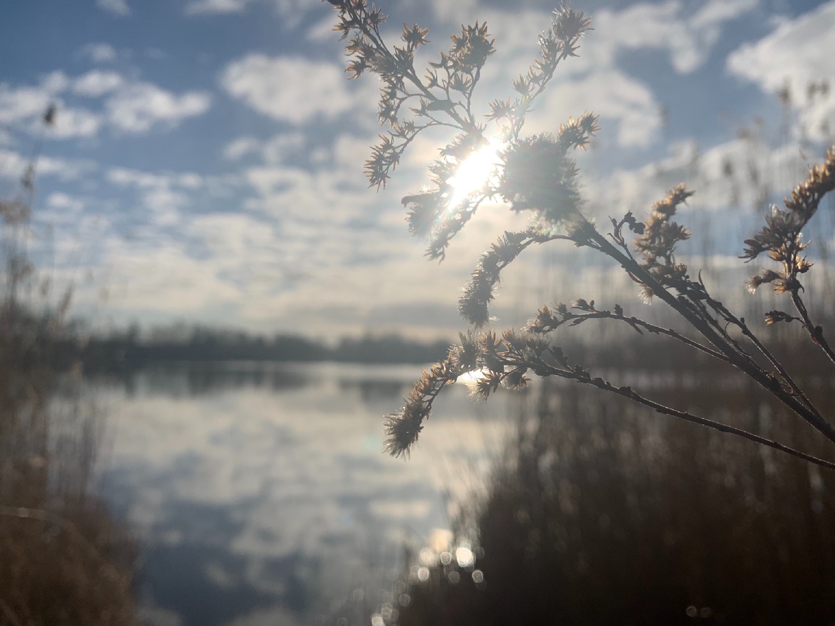 С пробежки. Сегодня солнечно, хоть и холодно.