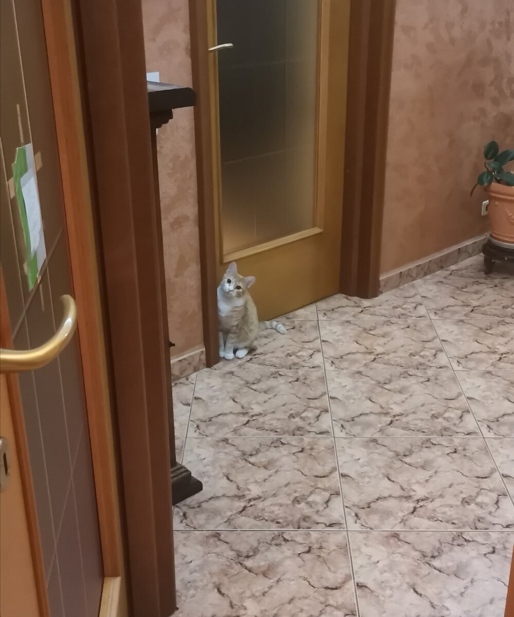 Не пускают! 